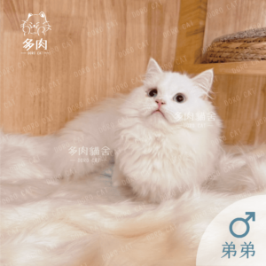 小步